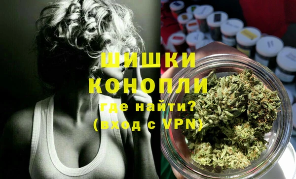 стаф Зеленокумск