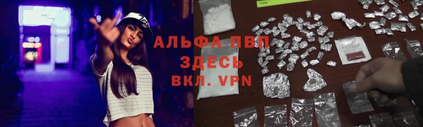 спиды Алексеевка