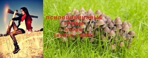 гашиш Абинск