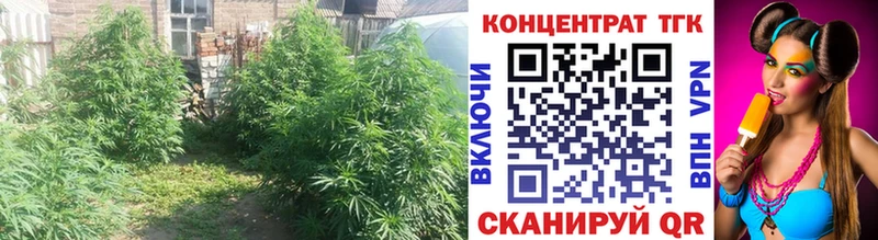 хочу   Ахтырский  мега   ТГК жижа 