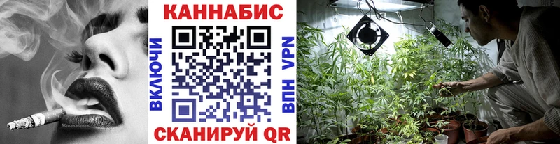 Шишки марихуана семена  hydra онион  Ахтырский  где можно купить  